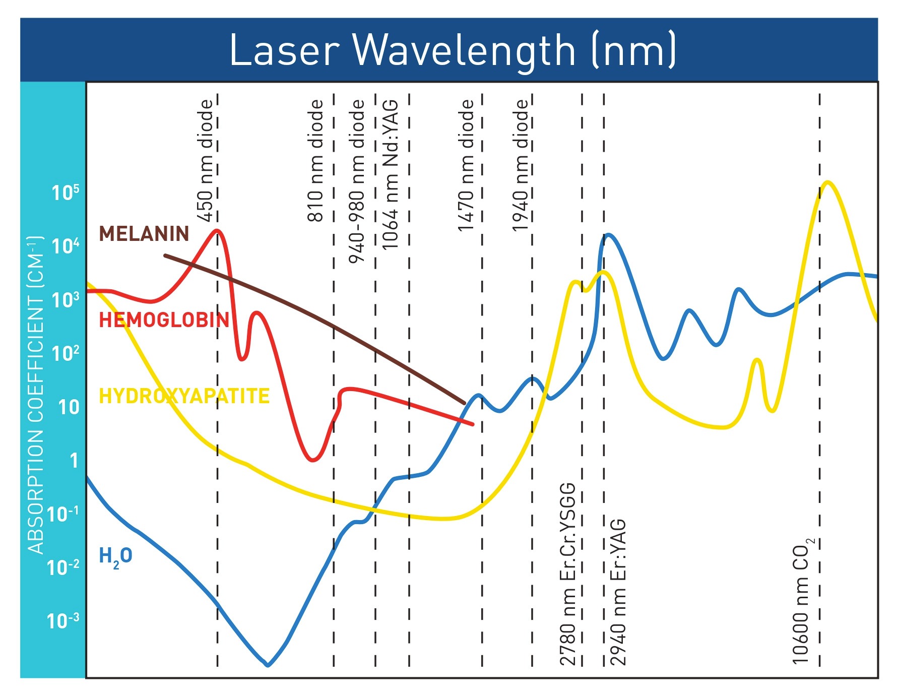 Laser Podologico ZAIRA Garda Laser - immagine 3